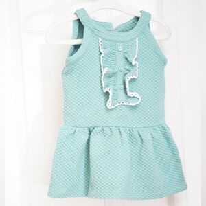 Janie and Jack Blue Dress with Pink Trim